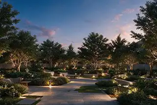 Landscaped Garden